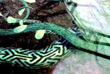 Lycra Tapestry / Backdrop of Gaia's Lullaby