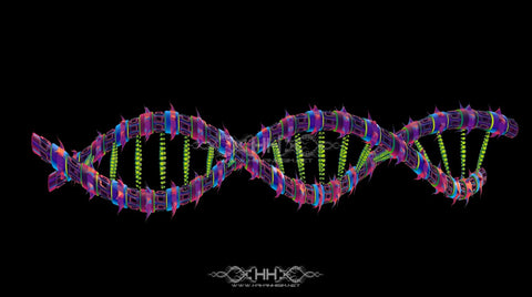 DNA Matrix Loop Pack