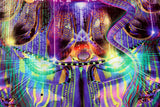 Lycra Tapestry / Backdrop of Reclaiming the Throne