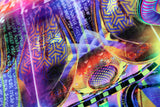 Lycra Tapestry / Backdrop of Reclaiming the Throne
