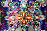 Lycra Tapestry / Backdrop of Venusian Cross